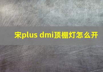 宋plus dmi顶棚灯怎么开